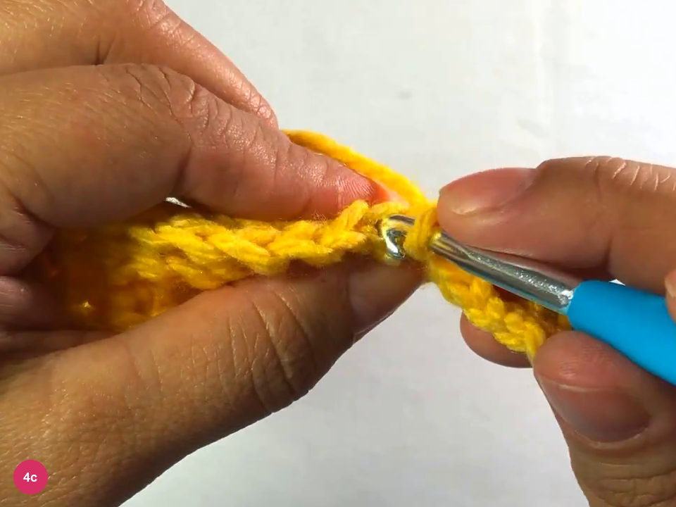 Hook at the edge of the ribbed strip with the latest back-loop stitches in view