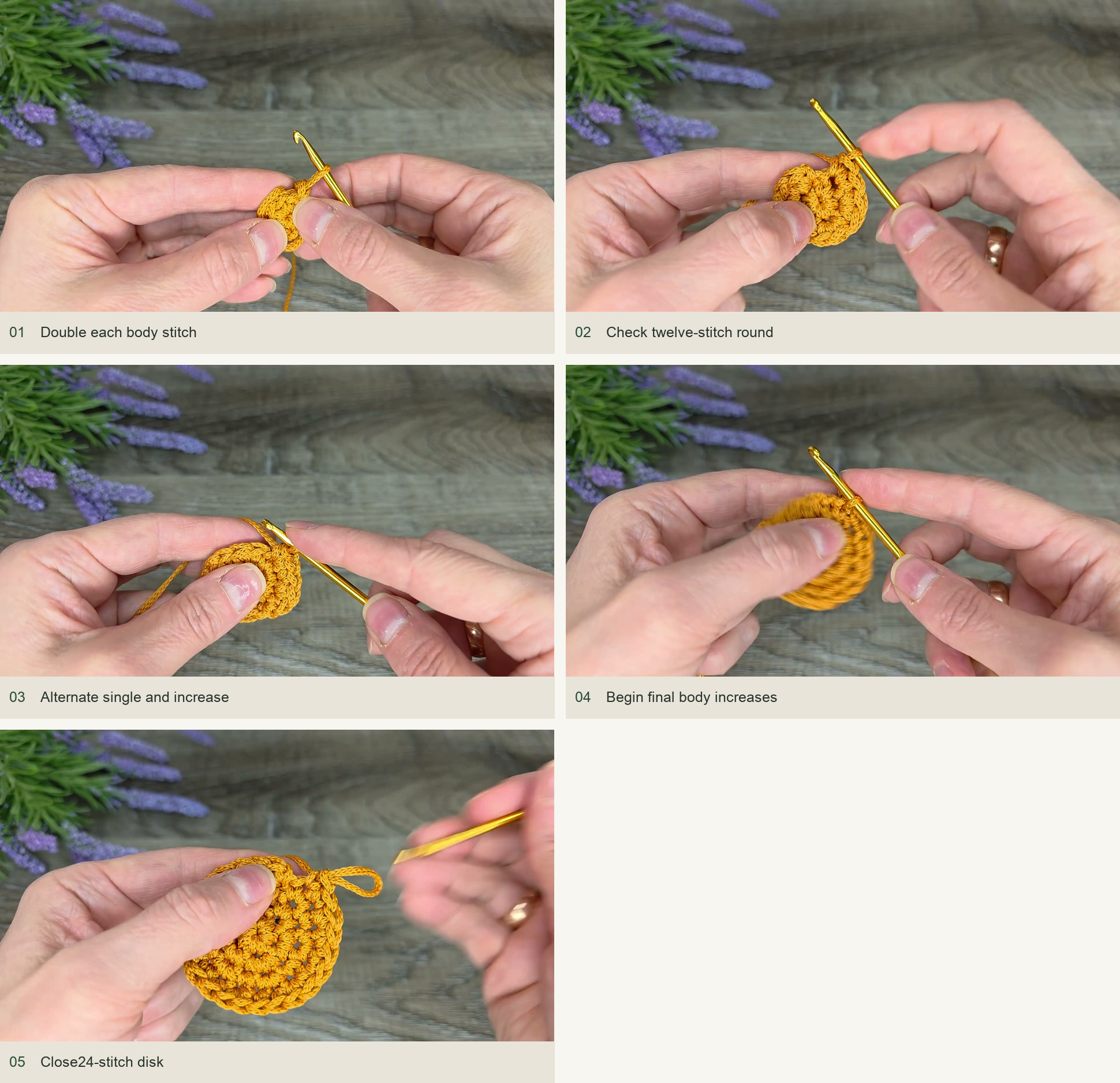Increase to a twenty-four-stitch disk: Double each body stitch; Check twelve-stitch round; Alternate single and increase; Begin final body increases; Close24-stitch disk