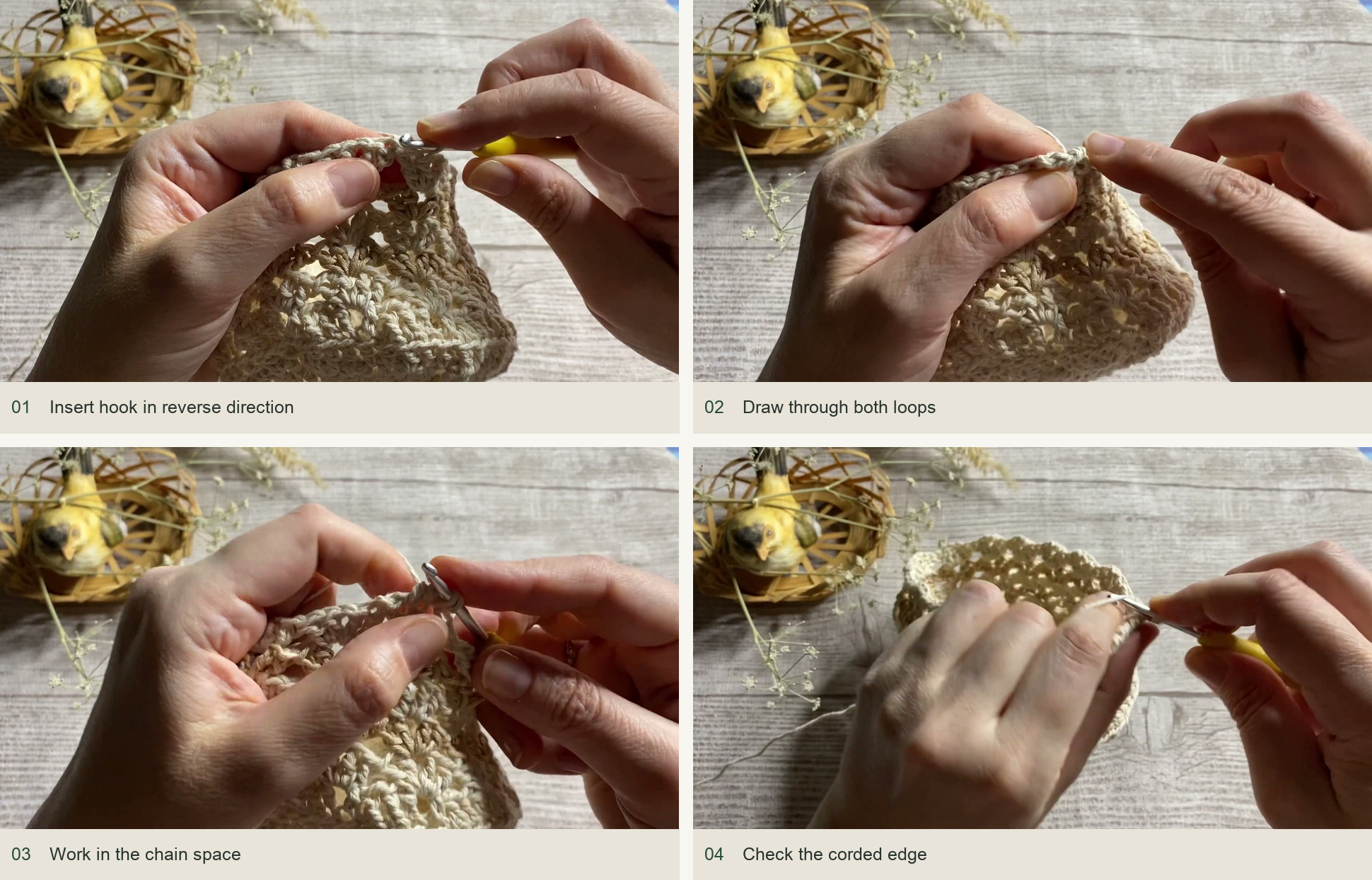 Insert hook in reverse direction; Draw through both loops; Work in the chain space; Check the corded edge
