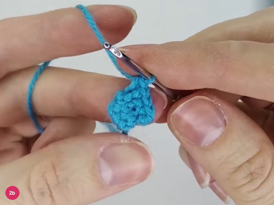 Hook joining the folded turquoise flipper edges