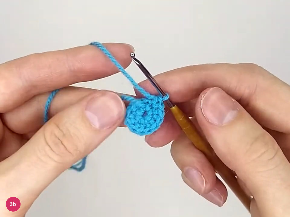 Turquoise body disk after the twelve-stitch round