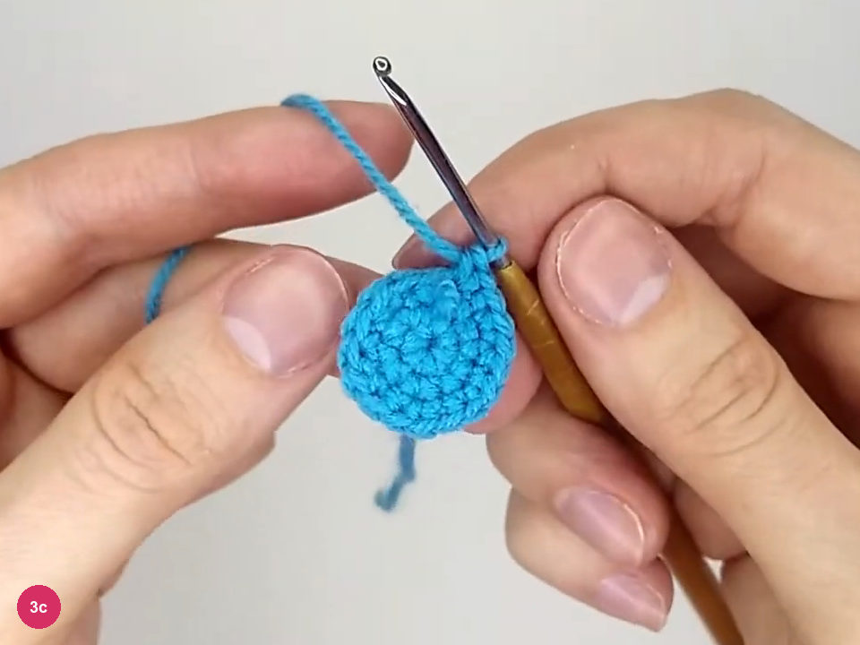 Turquoise body base with its growing circular edge