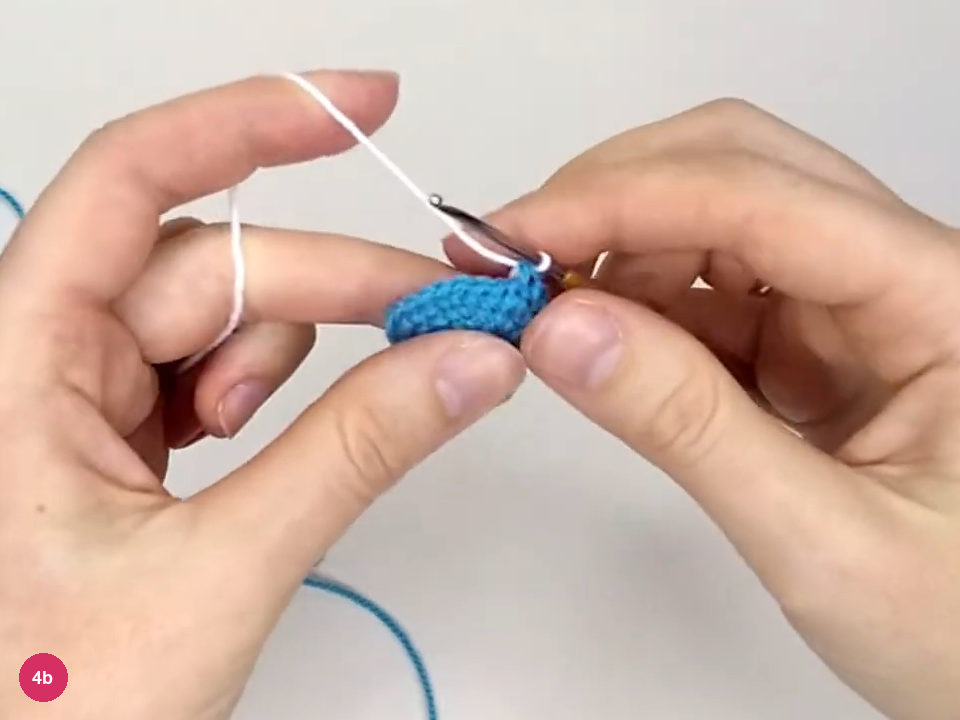 White working loop on the hook at the color change above the turquoise body