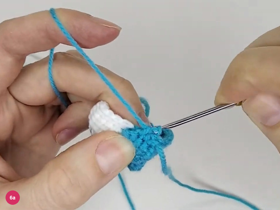 First flipper held at the side of the turquoise body